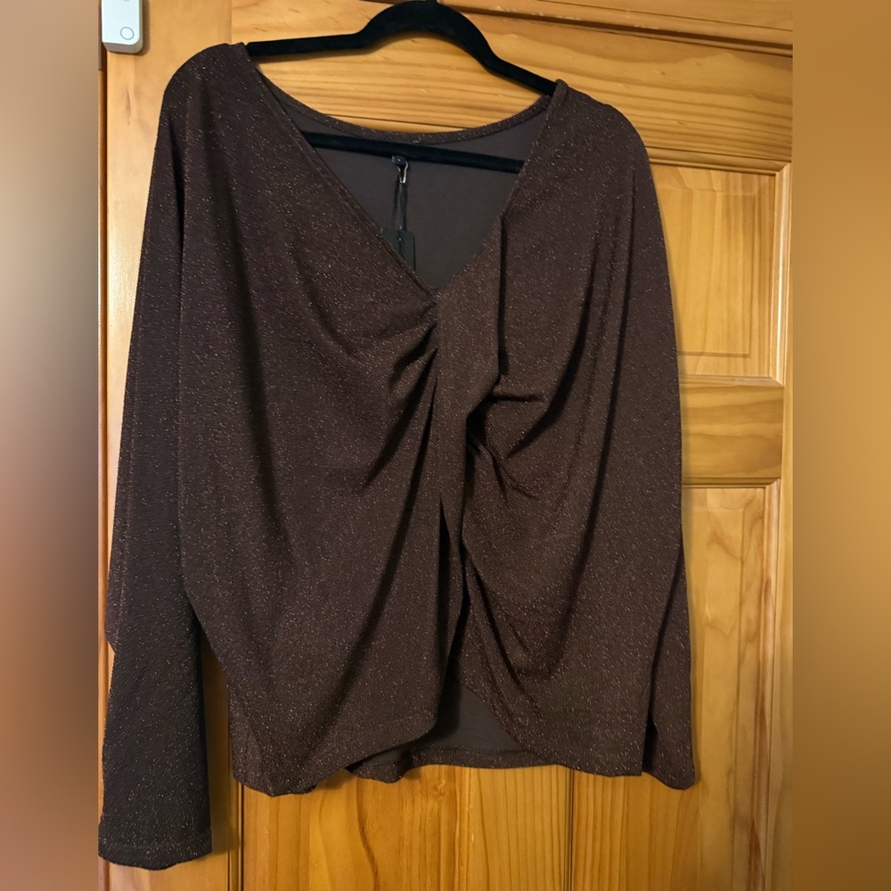 Express Brown V-Neck Sweater